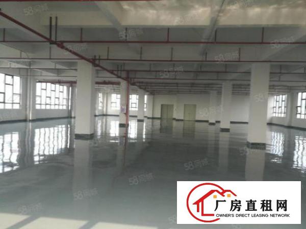  厚街厂房适合做电子等，干净整洁大气，交通非常方便1350平方