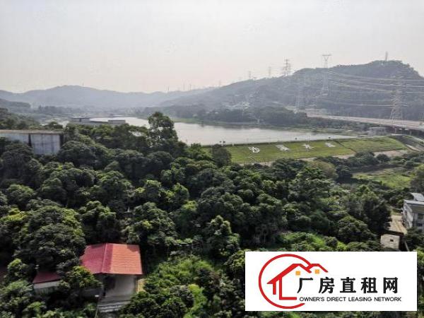  ！厚街下汴全新厂房特价优惠10元起！