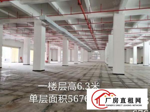  厚街原广东厂房1700平滴水8米，余电大带隔热