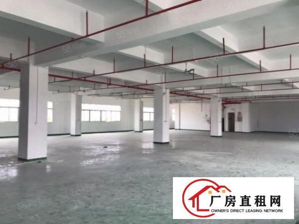  厚街原广东厂房1700平滴水8米，余电大带隔热