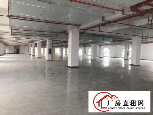  厚街原广东厂房1700平滴水8米，余电大带隔热