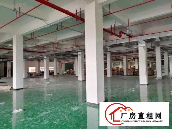  汀山一楼5200平标准厂房带地坪漆