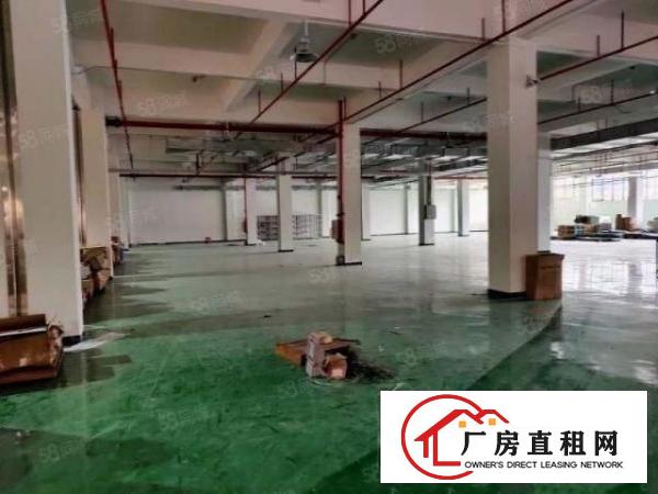  汀山一楼5200平标准厂房带地坪漆