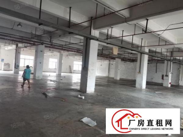  厚街新出带精装一楼1500平，高度5米，喷淋覆盖，包办环评！