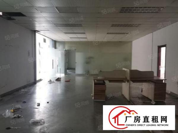  厚街新出带精装一楼1500平，高度5米，喷淋覆盖，包办环评！