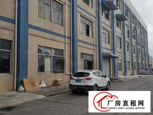  厚街新出带精装一楼1500平，高度5米，喷淋覆盖，包办环评！