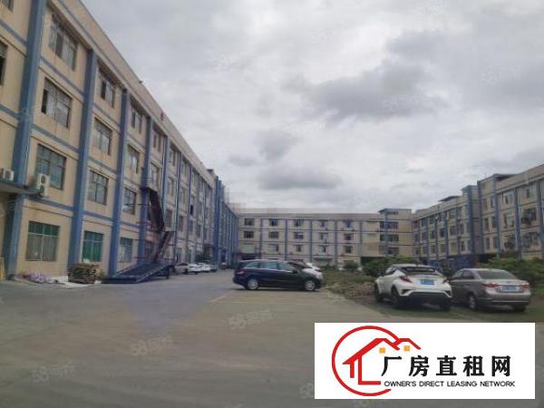  厚街新出带精装一楼1500平，高度5米，喷淋覆盖，包办环评！