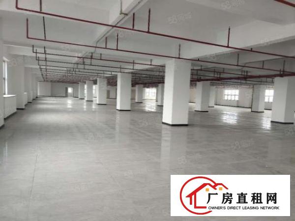  全新花园式标准厂房，上市公司形象，配套酒店式公寓