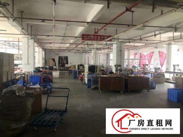  新塘原房东分租一楼1000方标准厂房出租，价格可谈