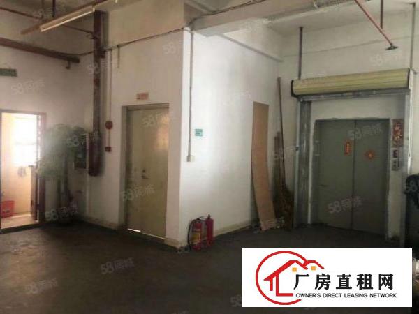  新塘原房东分租一楼1000方标准厂房出租，价格可谈