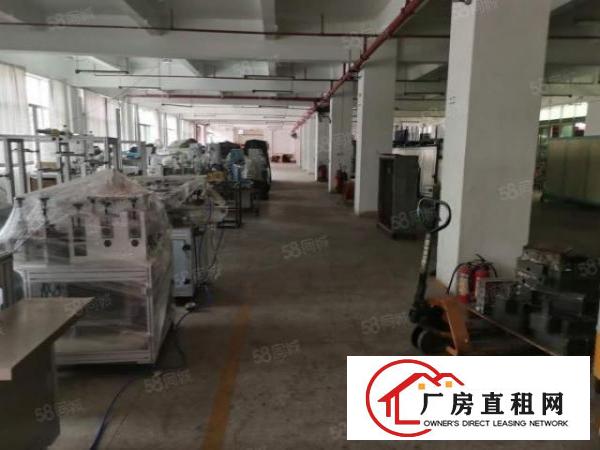  厚街花园式厂房一楼2000平方豪华装修空地大