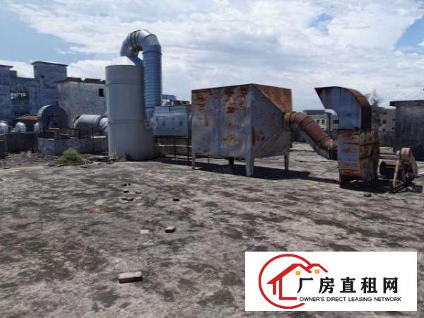  厚街双岗新出原房东楼房10000平方家具厂房招租有环评环保
