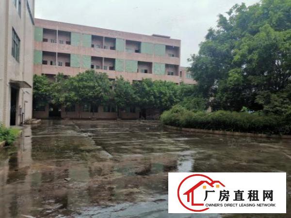  厚街双岗新出原房东楼房10000平方家具厂房招租有环评环保
