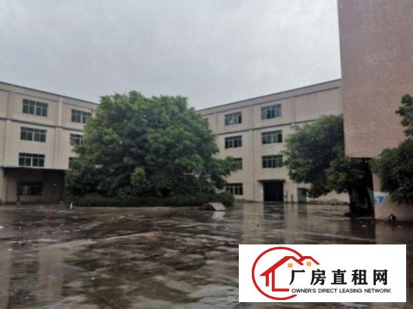  厚街双岗新出原房东楼房10000平方家具厂房招租有环评环保