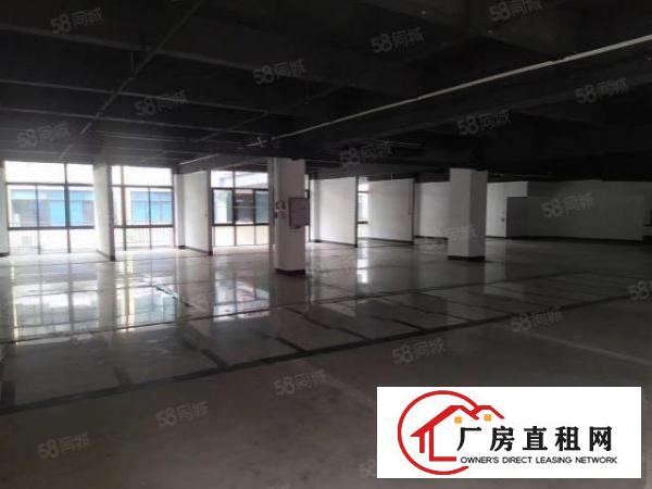  厚街村高新产业园厂房精装修办公室
