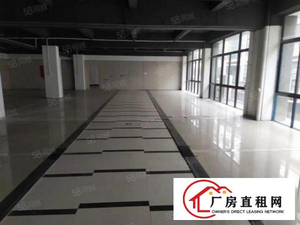  厚街村高新产业园厂房精装修办公室