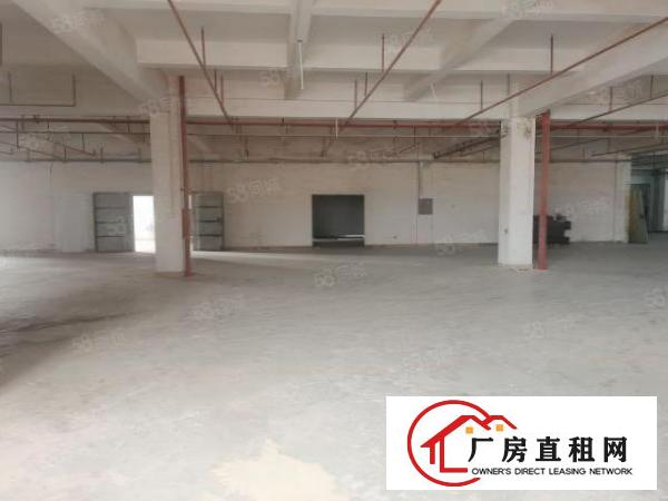  现成家具环评3500平方厂房出租可喷油VOC排放指标五吨货梯