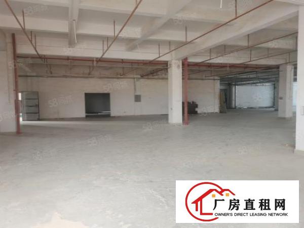  现成家具环评3500平方厂房出租可喷油VOC排放指标五吨货梯