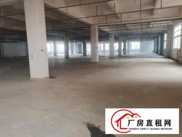  现成家具环评3500平方厂房出租可喷油VOC排放指标五吨货梯