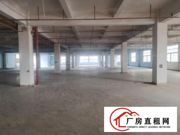  现成家具环评3500平方厂房出租可喷油VOC排放指标五吨货梯