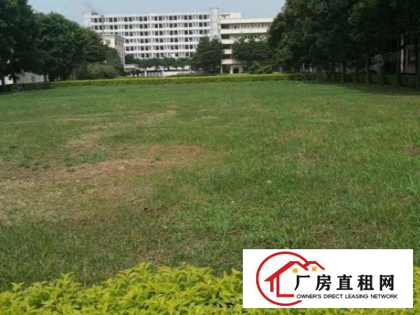  手上有多套独门独院原房东的花园厂房，空地大，交通方便