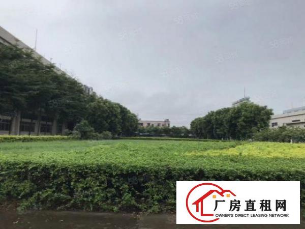  手上有多套独门独院原房东的花园厂房，空地大，交通方便