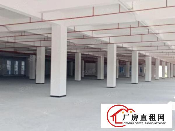  厚街汀山原房东全新标准厂房,可分租，空地大，超大货梯