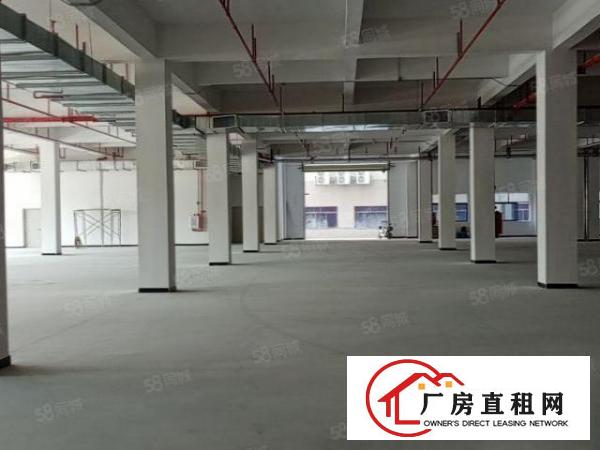  厚街汀山原房东全新标准厂房,可分租，空地大，超大货梯