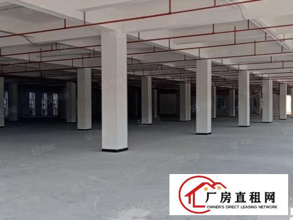  厚街汀山原房东全新标准厂房,可分租，空地大，超大货梯