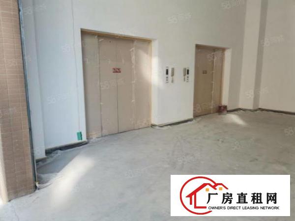  厚街汀山原房东全新标准厂房,可分租，空地大，超大货梯