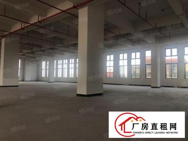  实图独院（全新工业4.0厂房空地大）厚街1200平层高6米