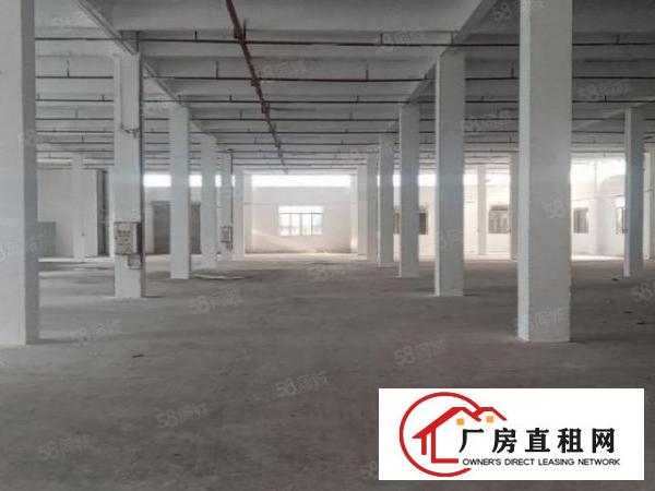  一楼3500平6米高带办公室消防喷淋厂房出租