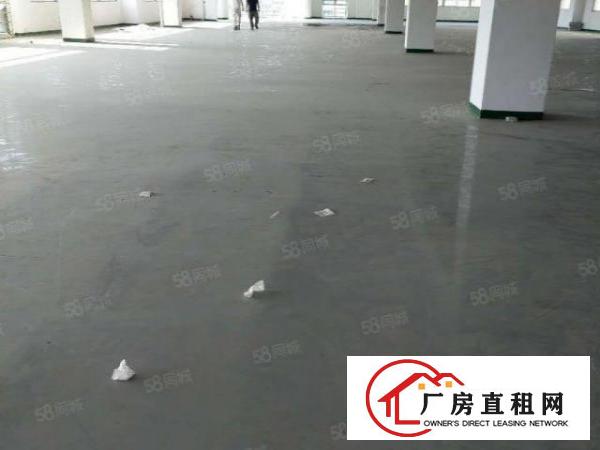  厚街超便宜带豪华装修的厂房。