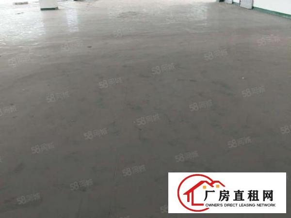  厚街超便宜带豪华装修的厂房。
