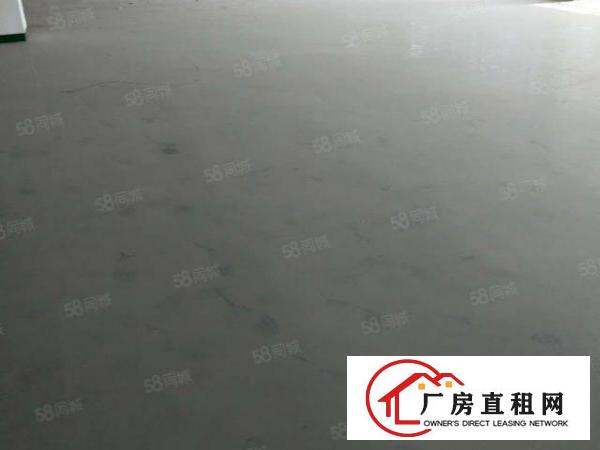  厚街超便宜带豪华装修的厂房。
