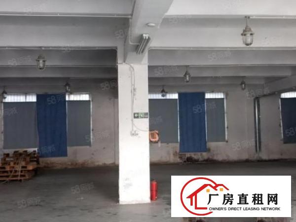  出租厚街陈屋原房东厂房1000平方带现在装修办公室，可分租