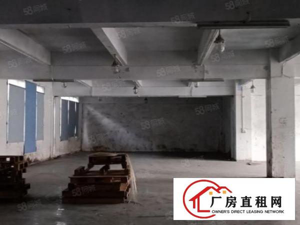  出租厚街陈屋原房东厂房1000平方带现在装修办公室，可分租