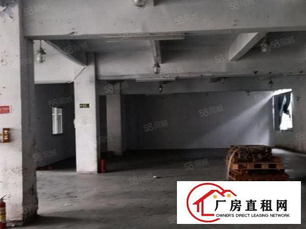  出租厚街陈屋原房东厂房1000平方带现在装修办公室，可分租
