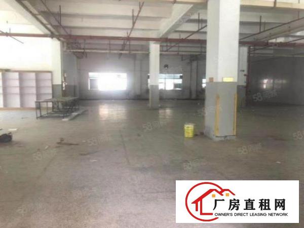  独门独院现成办公宿舍精装修全场喷淋消防3吨电梯