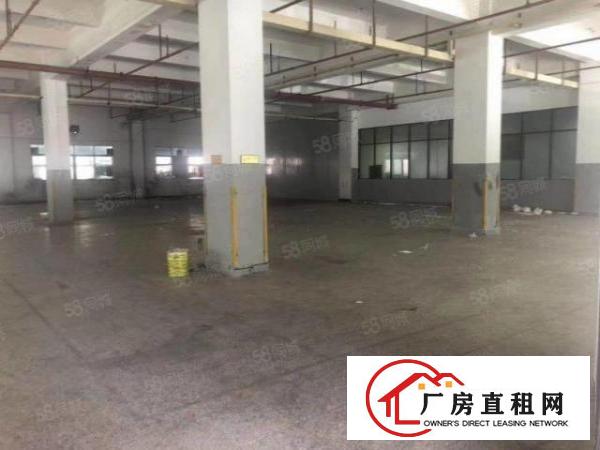  独门独院现成办公宿舍精装修全场喷淋消防3吨电梯