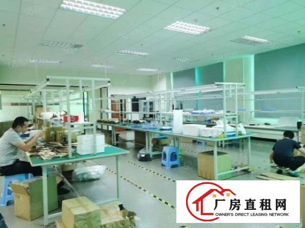  厚街新塘5米高精装修一楼1800方厂房仓库可分租