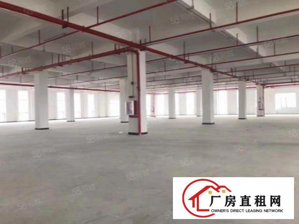  厚街高速口附近新建园区，一楼5200平方厂房出租