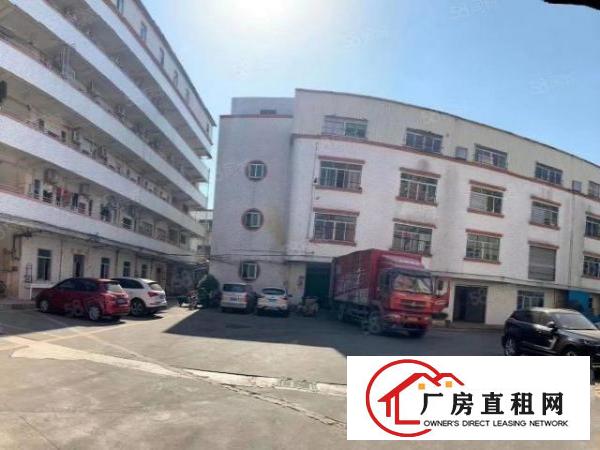  厚街新塘村现成地坪漆厂房2000平方出租带现成办公室洗手间