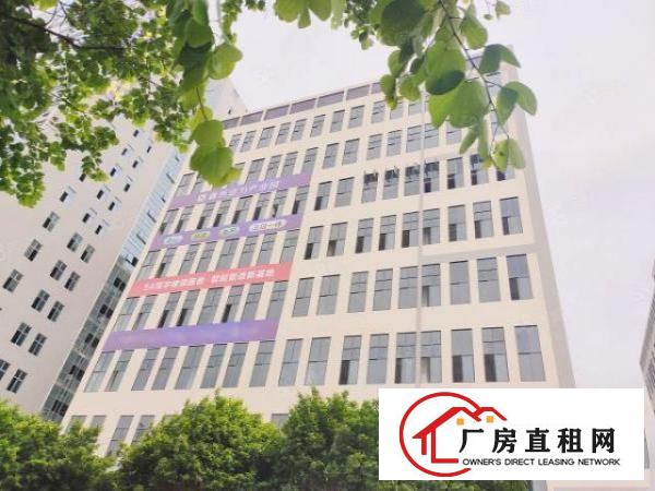  厚街大道红本高端厂房1300平方招租，适合电商，贸易等行业