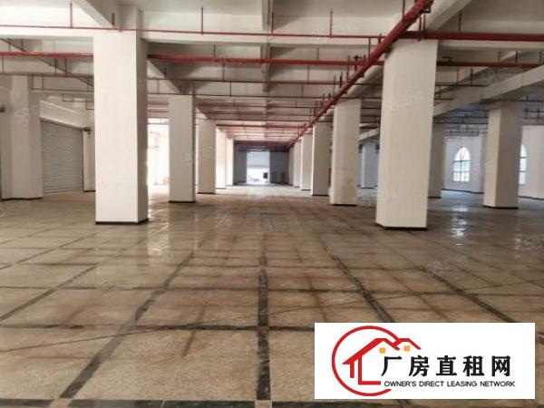  高端产业园，单层3372平，配套齐全，空地大适合各行业，