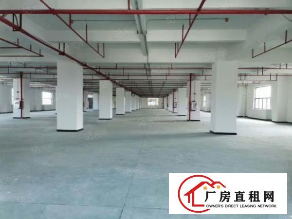  高端产业园，单层3372平，配套齐全，空地大适合各行业，