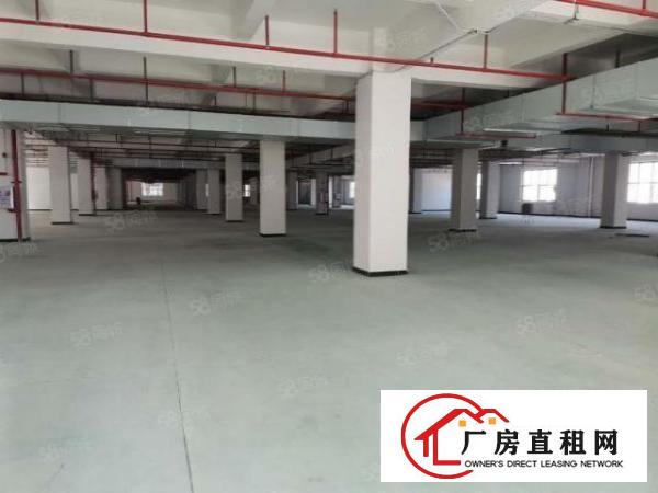  高端产业园，单层3372平，配套齐全，空地大适合各行业，