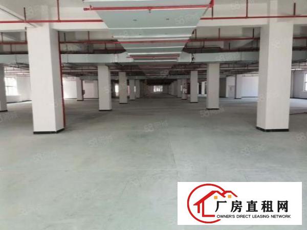  高端产业园，单层3372平，配套齐全，空地大适合各行业，