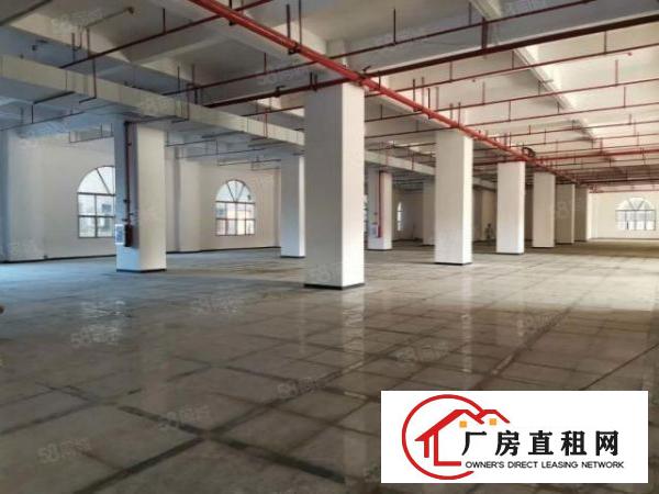 高端产业园，单层3372平，配套齐全，空地大适合各行业，