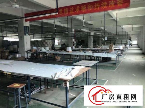  厚街原房东一二楼3000平方厂房出租